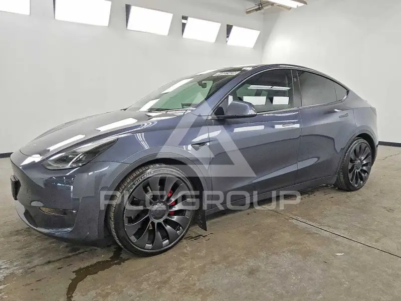 2023 Tesla Model Y фото