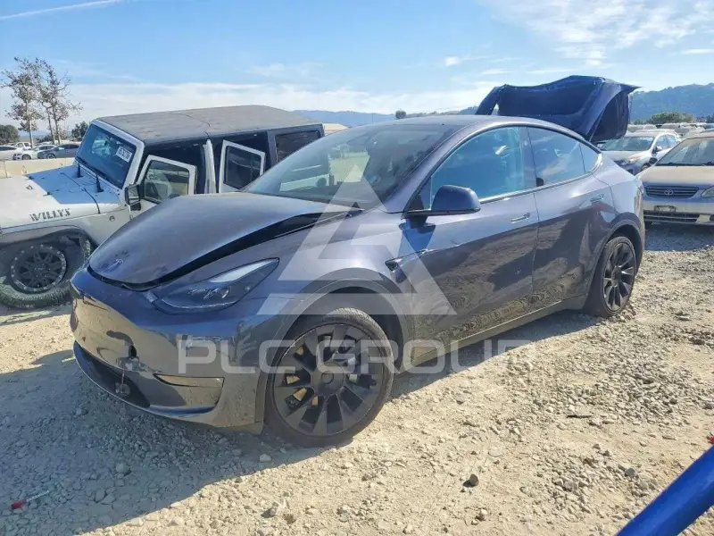 2023 Tesla Model Y фото
