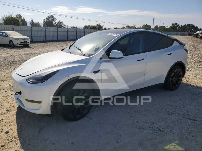2023 Tesla Model Y фото