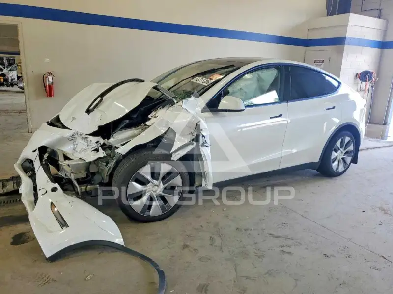 2023 Tesla Model Y photo