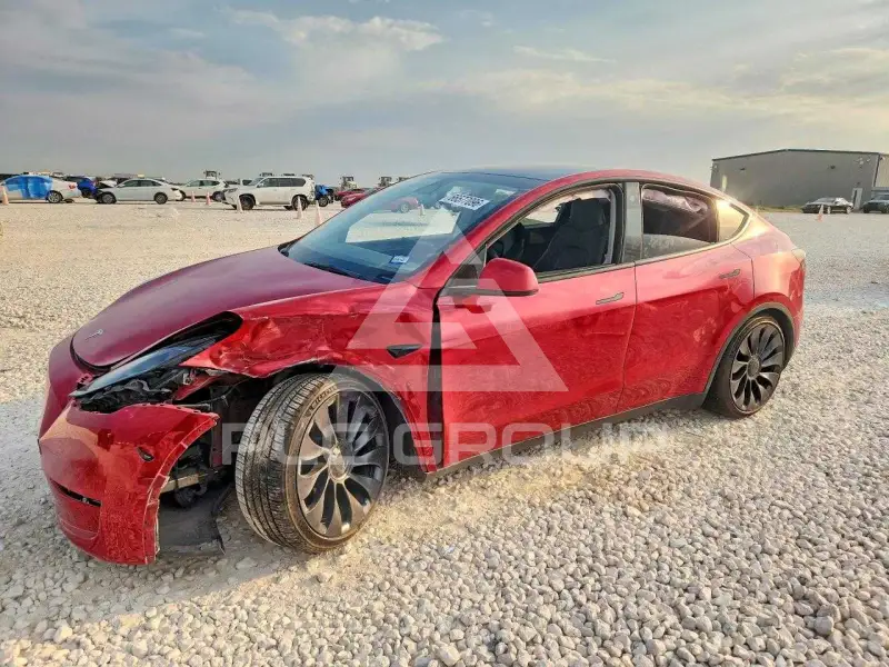 2023 Tesla Model Y фото
