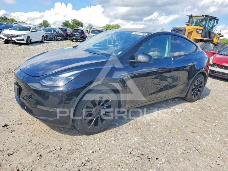 2023 Tesla Model Y фото
