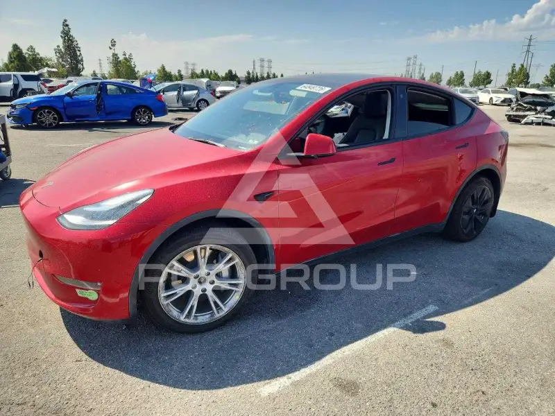 2023 Tesla Model Y photo