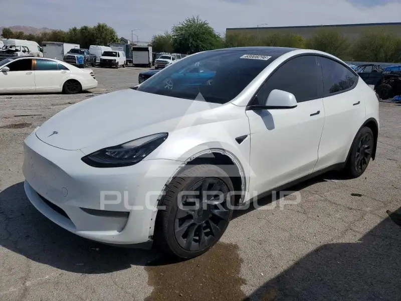 2023 Tesla Model Y фото