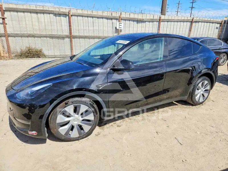 2023 Tesla Model Y photo