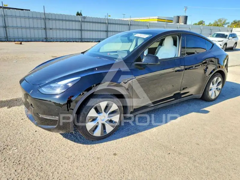 2023 Tesla Model Y фото