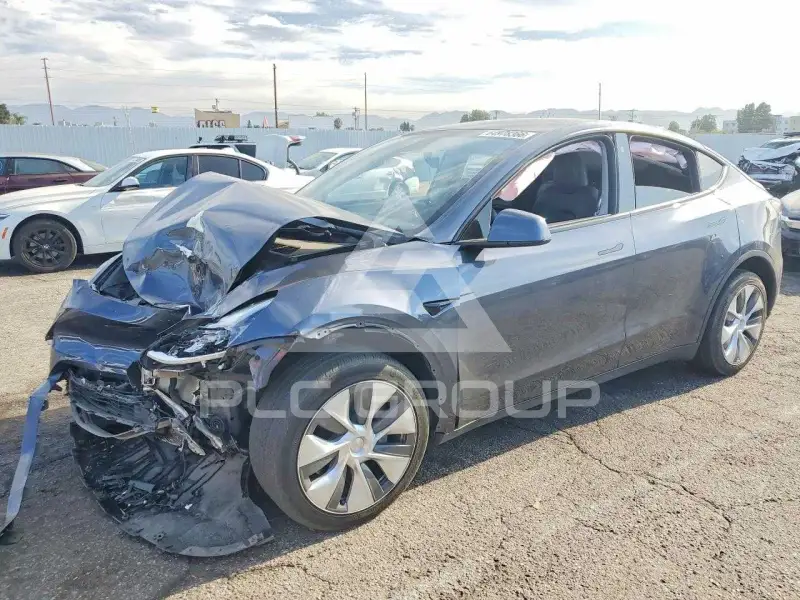 2023 Tesla Model Y фото