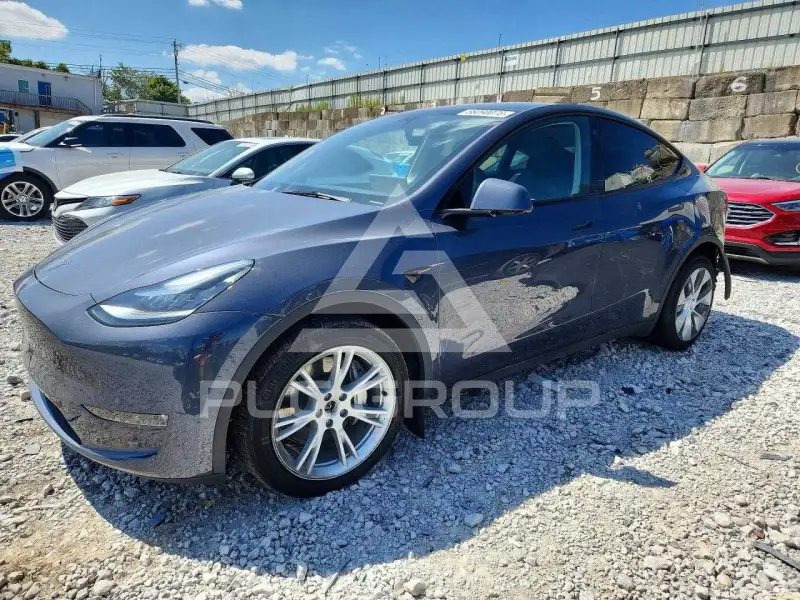 2023 Tesla Model Y фото