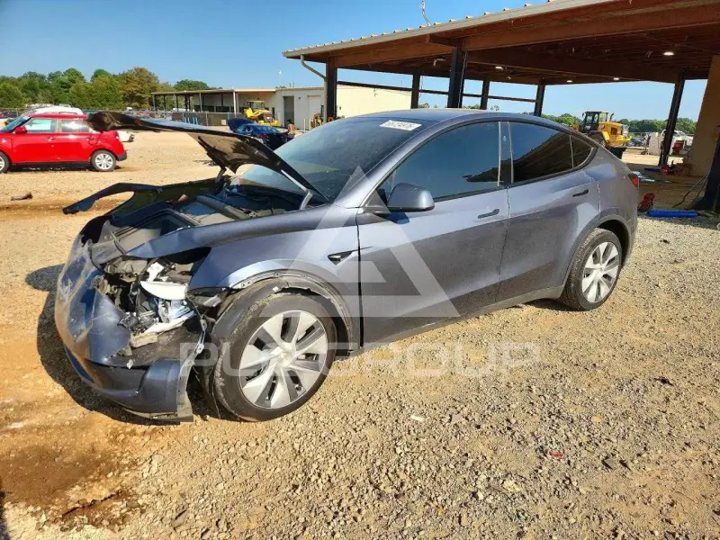 2023 Tesla Model Y photo