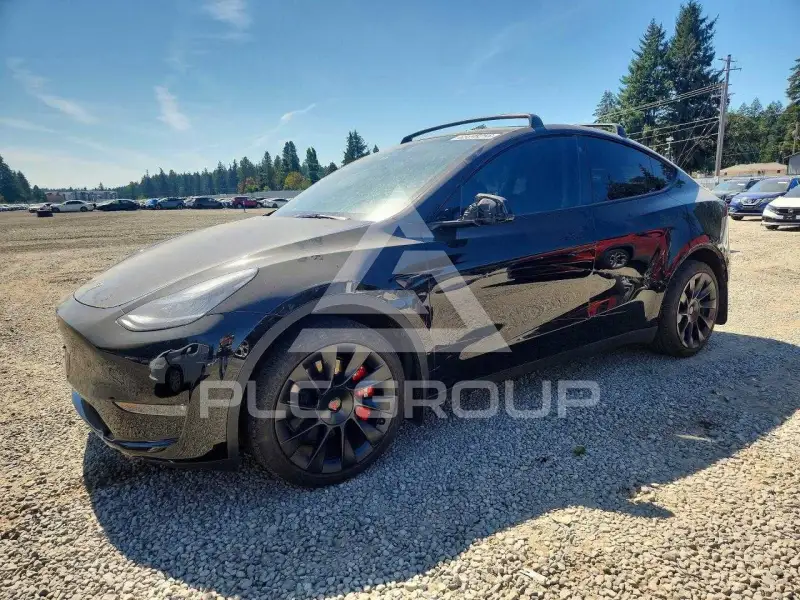 2023 Tesla Model Y фото