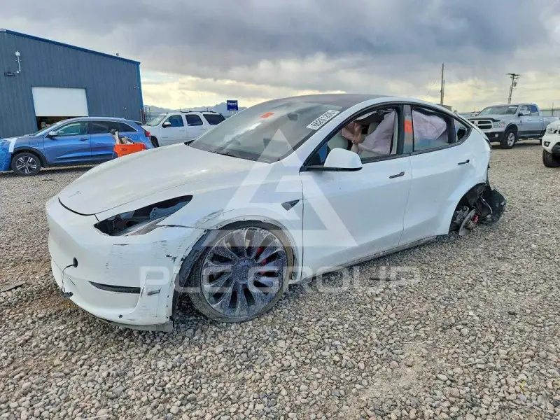 2023 Tesla Model Y фото
