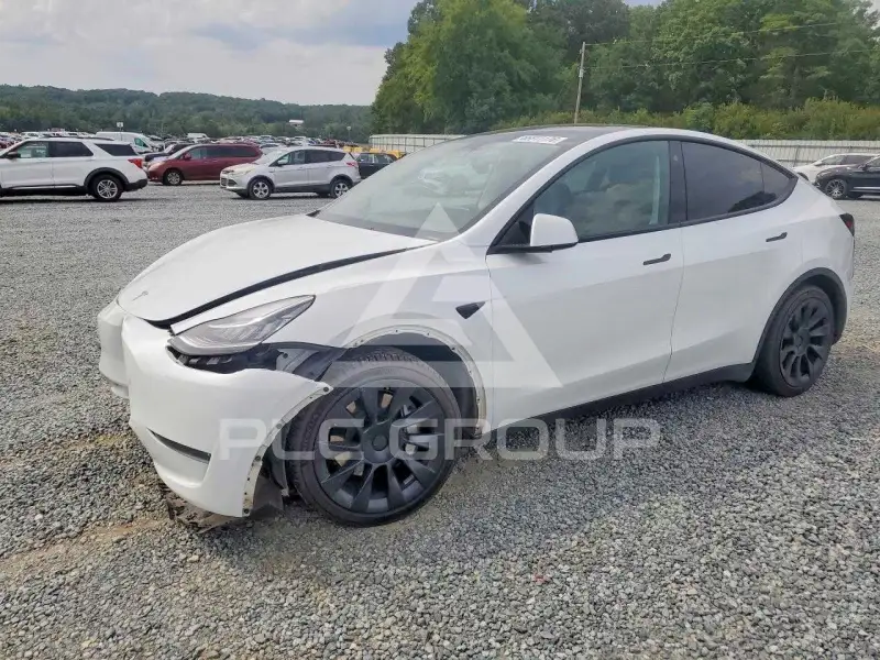 2023 Tesla Model Y photo