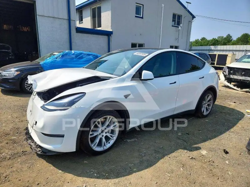 2023 Tesla Model Y фото