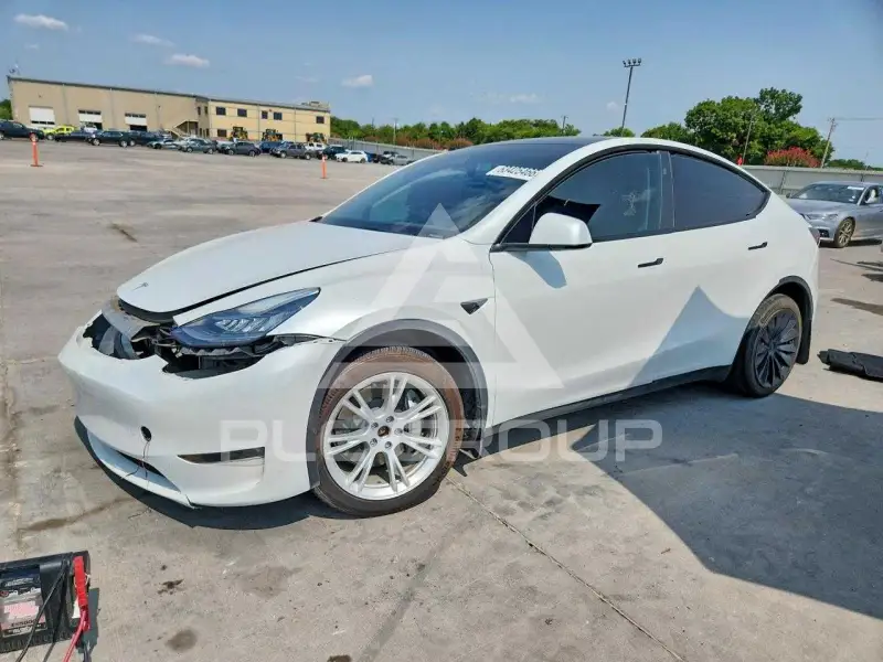 2023 Tesla Model Y photo