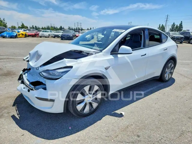 2023 Tesla Model Y photo
