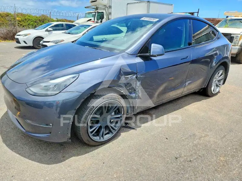 2023 Tesla Model Y фото