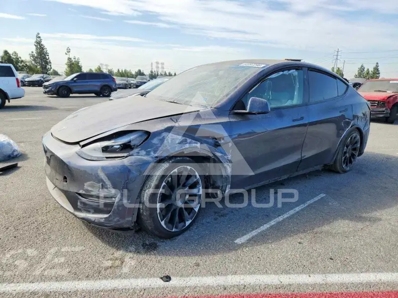 2023 Tesla Model Y фото