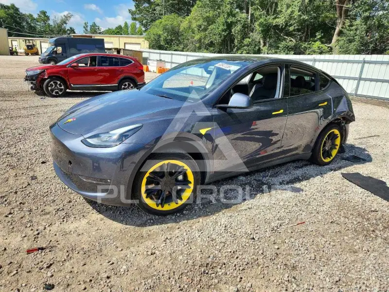 2023 Tesla Model Y фото