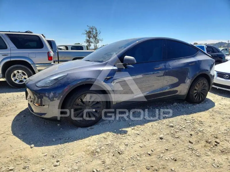 2023 Tesla Model Y photo