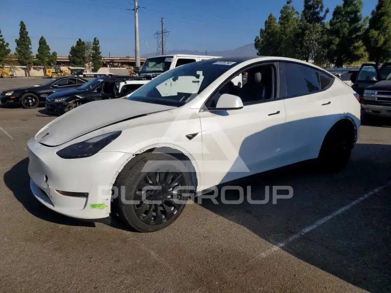 2023 Tesla Model Y photo