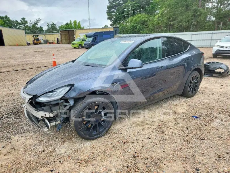 2023 Tesla Model Y фото