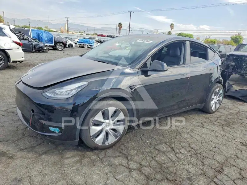 2023 Tesla Model Y photo