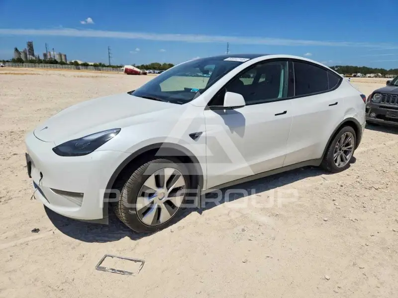 2023 Tesla Model Y фото