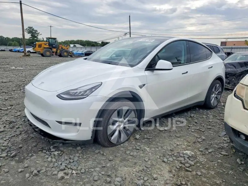 2023 Tesla Model Y фото