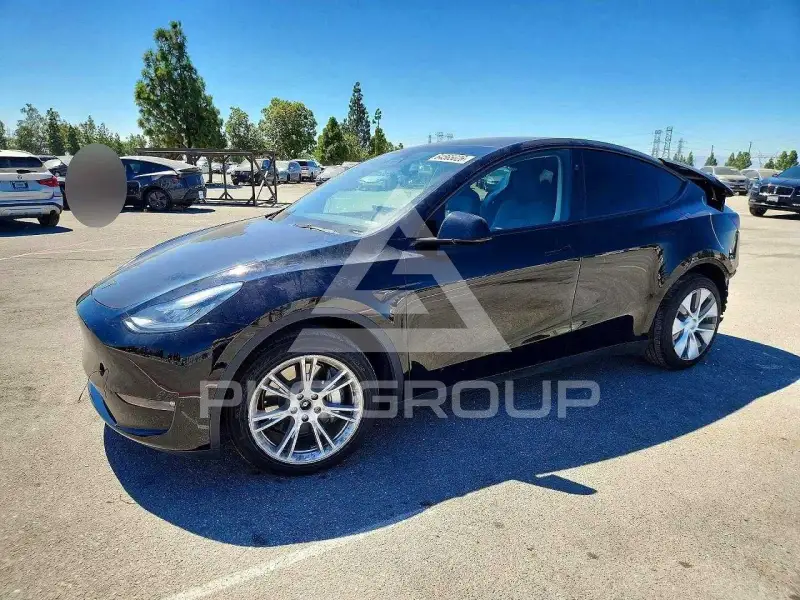 2023 Tesla Model Y фото