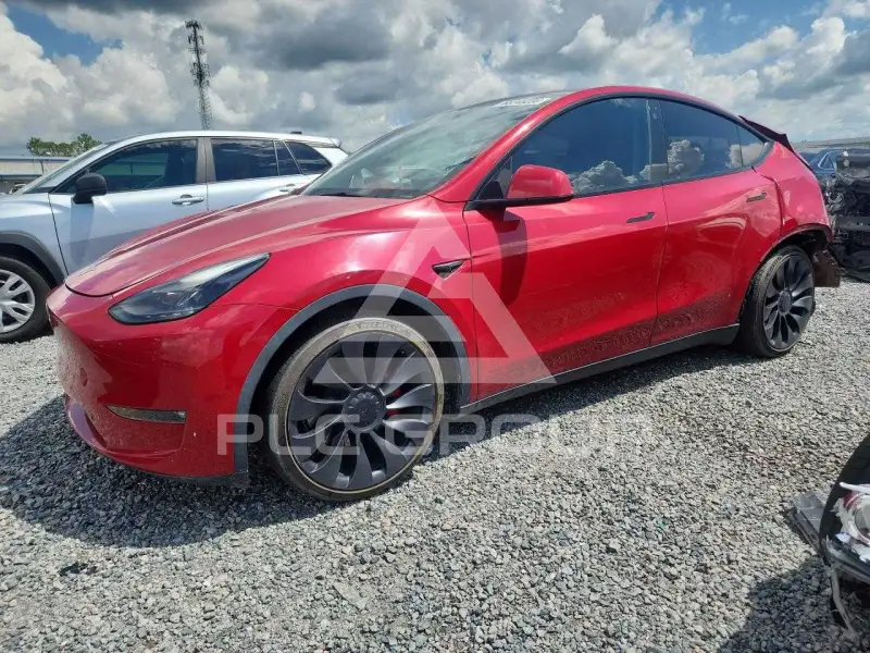 2023 Tesla Model Y photo