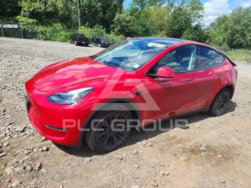 2023 Tesla Model Y photo