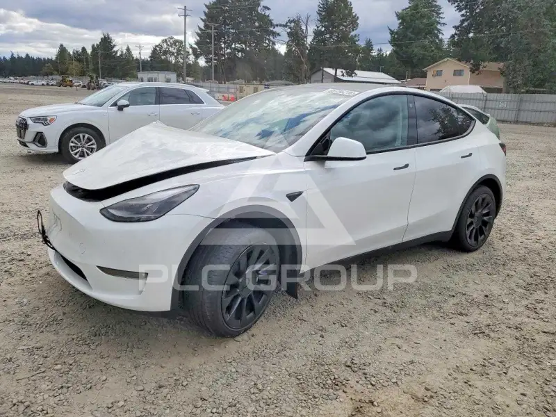 2023 Tesla Model Y photo