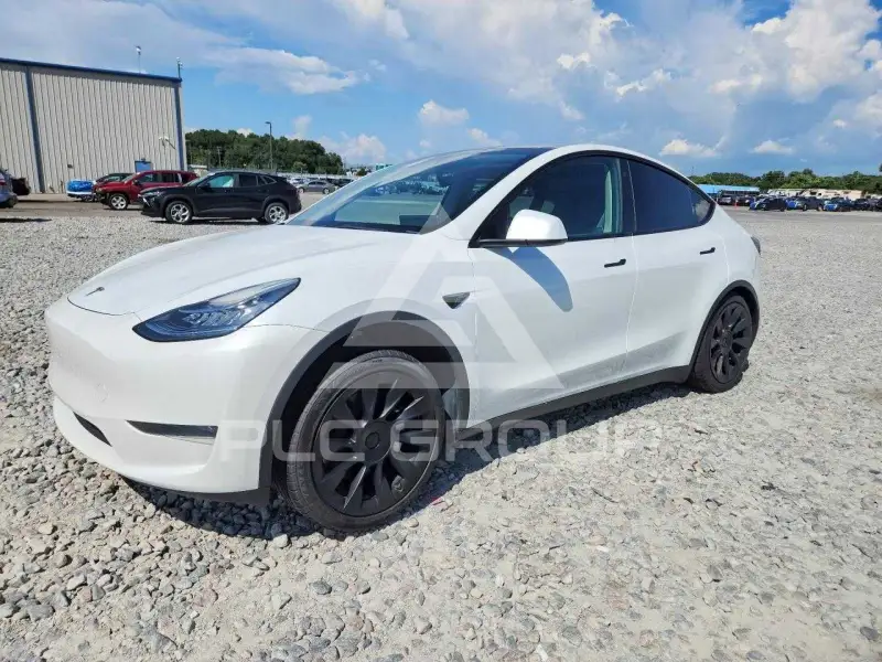 2023 Tesla Model Y photo