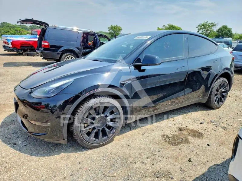2023 Tesla Model Y photo