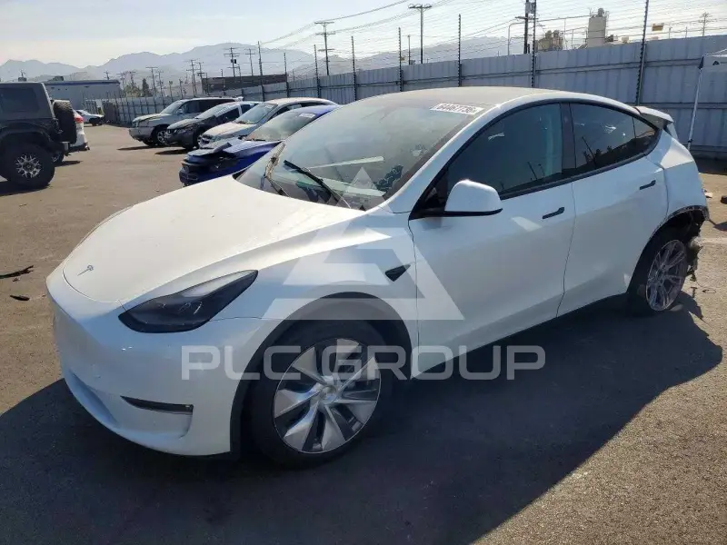 2023 Tesla Model Y фото