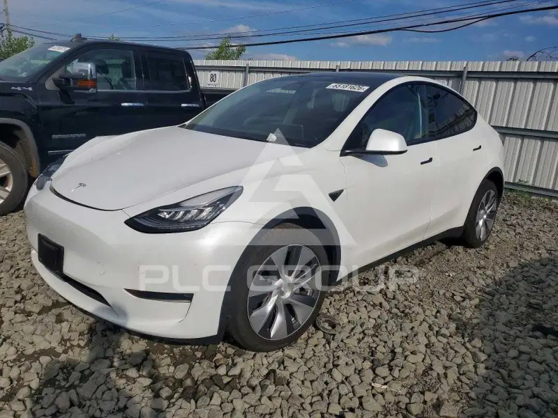 2023 Tesla Model Y фото