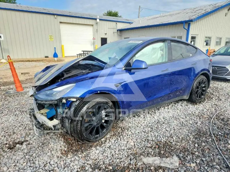 2023 Tesla Model Y фото