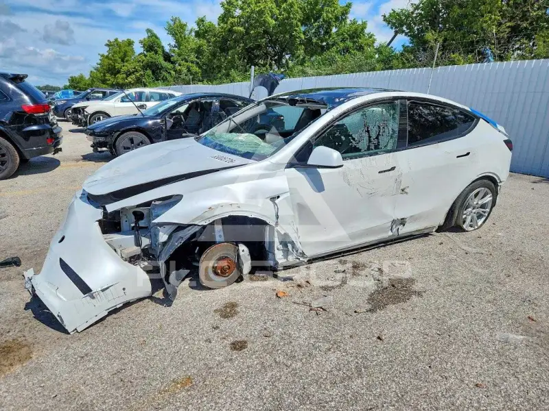 2023 Tesla Model Y фото