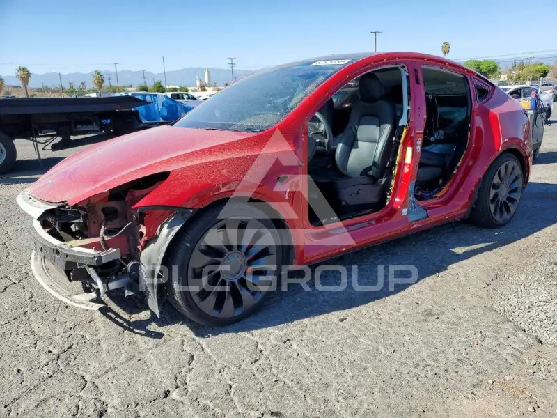 2023 Tesla Model Y photo