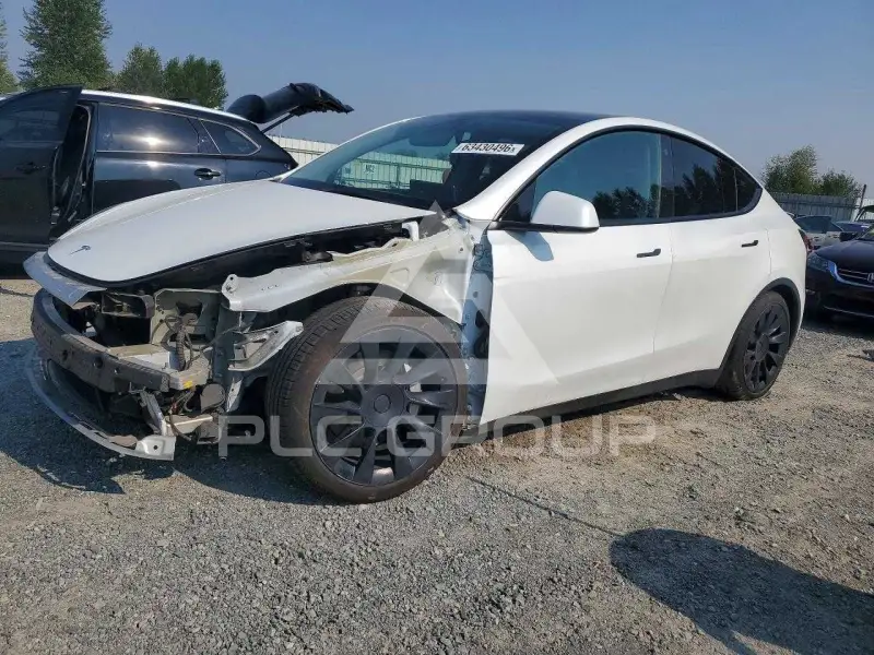 2023 Tesla Model Y фото