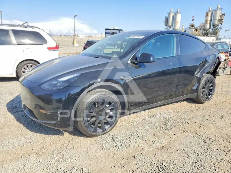 2023 Tesla Model Y фото
