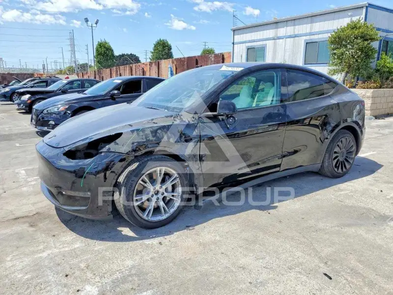 2023 Tesla Model Y фото