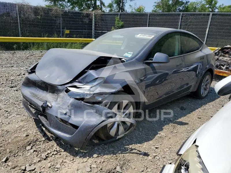 2023 Tesla Model Y фото