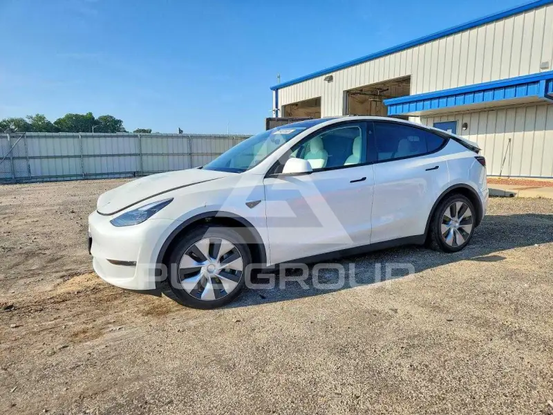 2023 Tesla Model Y photo