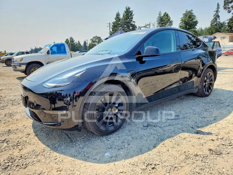 2023 Tesla Model Y photo