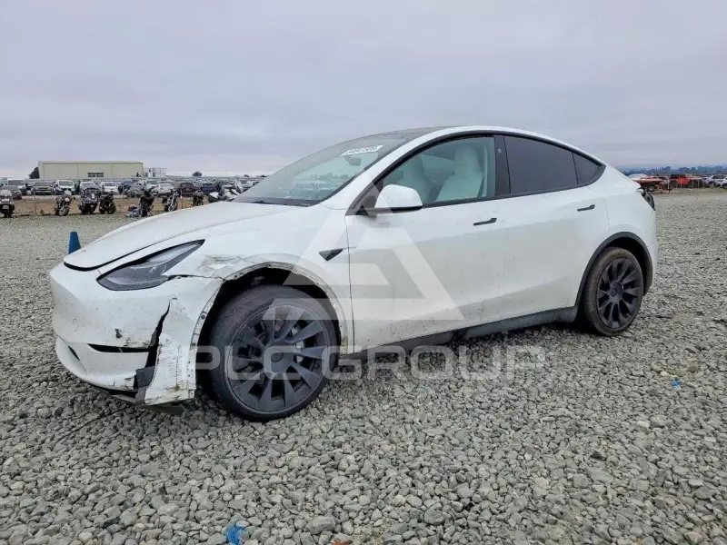 2023 Tesla Model Y фото
