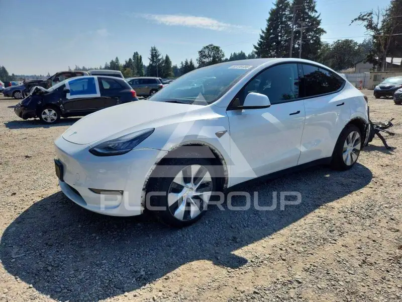 2023 Tesla Model Y фото