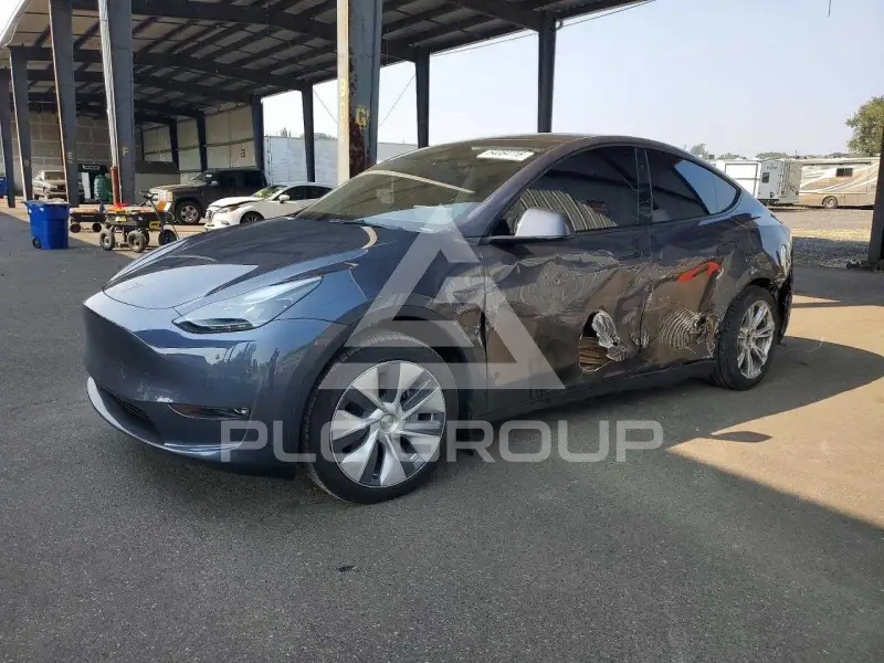 2023 Tesla Model Y фото