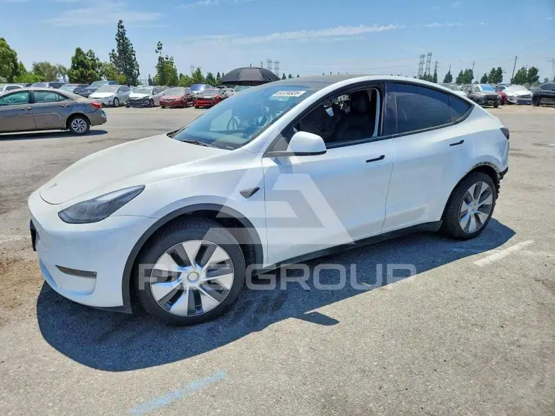 2023 Tesla Model Y photo