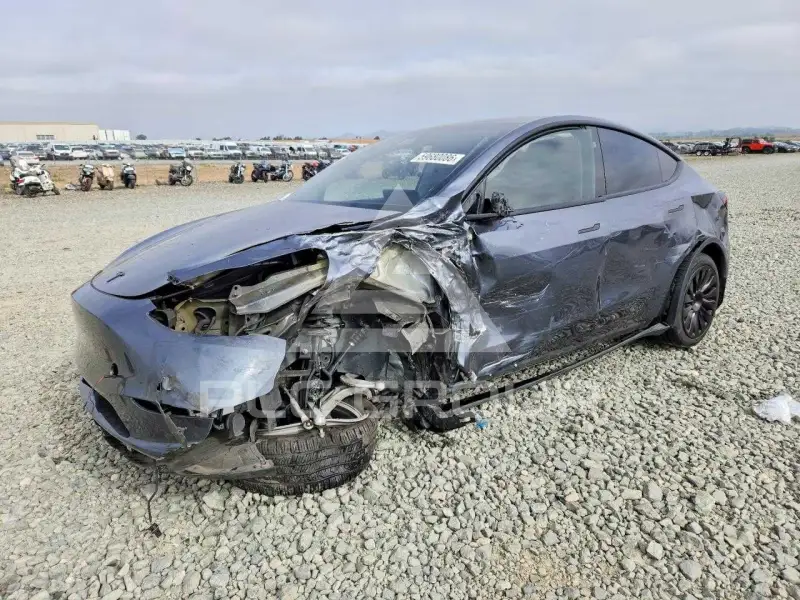 2023 Tesla Model Y фото